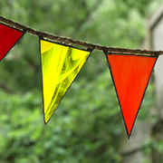 GlassBunting